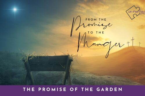 Header with the manger and three crosses tying into the christmas series